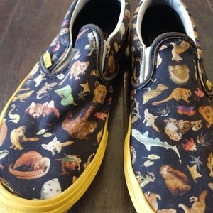 Juniors National Geographic Vans